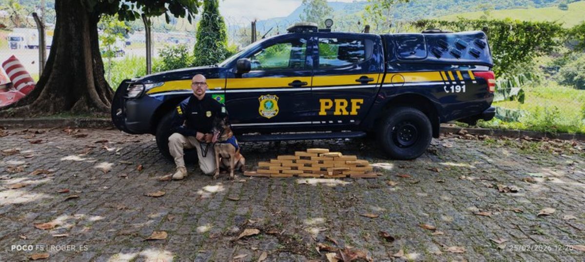 Guarapari: 21kg de maconha apreendida em ônibus interestadual na BR-101