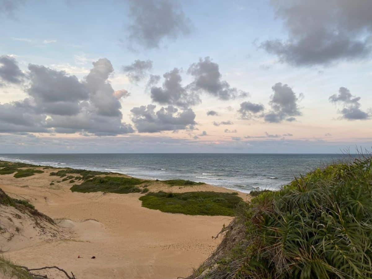 Parques estaduais do ES são opções de conexão com a natureza e lazer gratuito