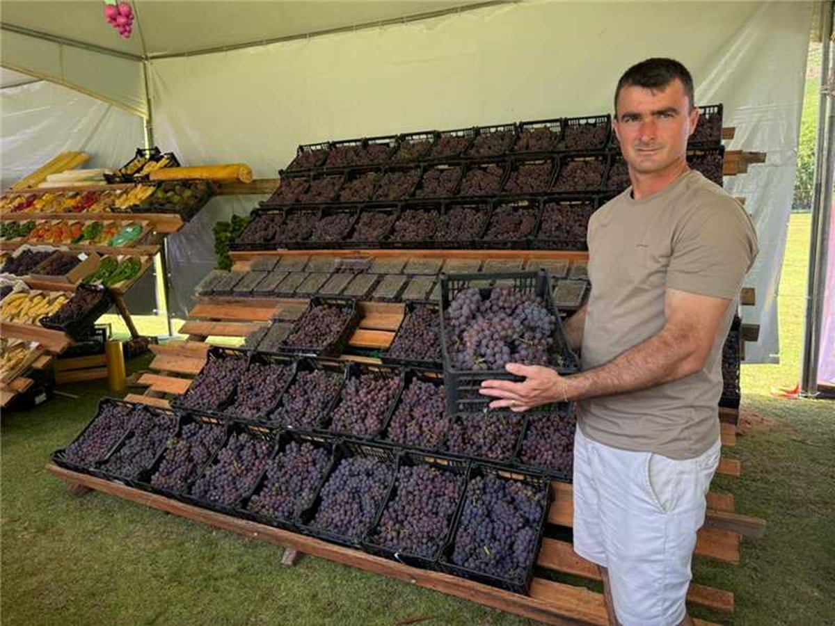 Fim de semana será de Festival da Uva e do Vinho em Alfredo Chaves