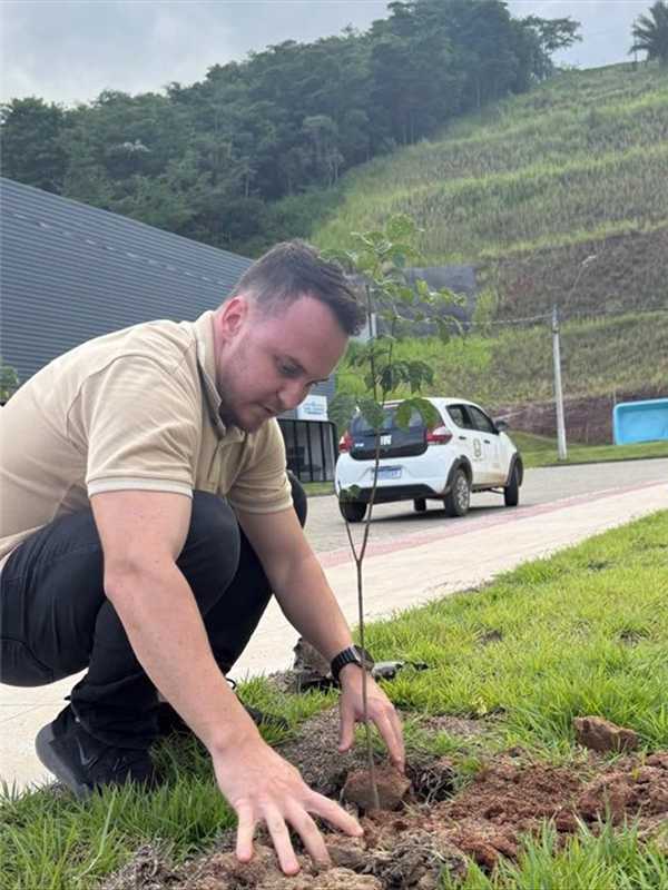 Projeto Arborizar leva plantio de árvores nativas a diversos pontos de Alfredo Chaves